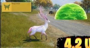تحميل ببجي التحديث الجديد 4.2 